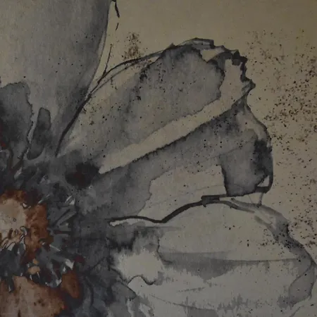 Sarpi21 Appartement *